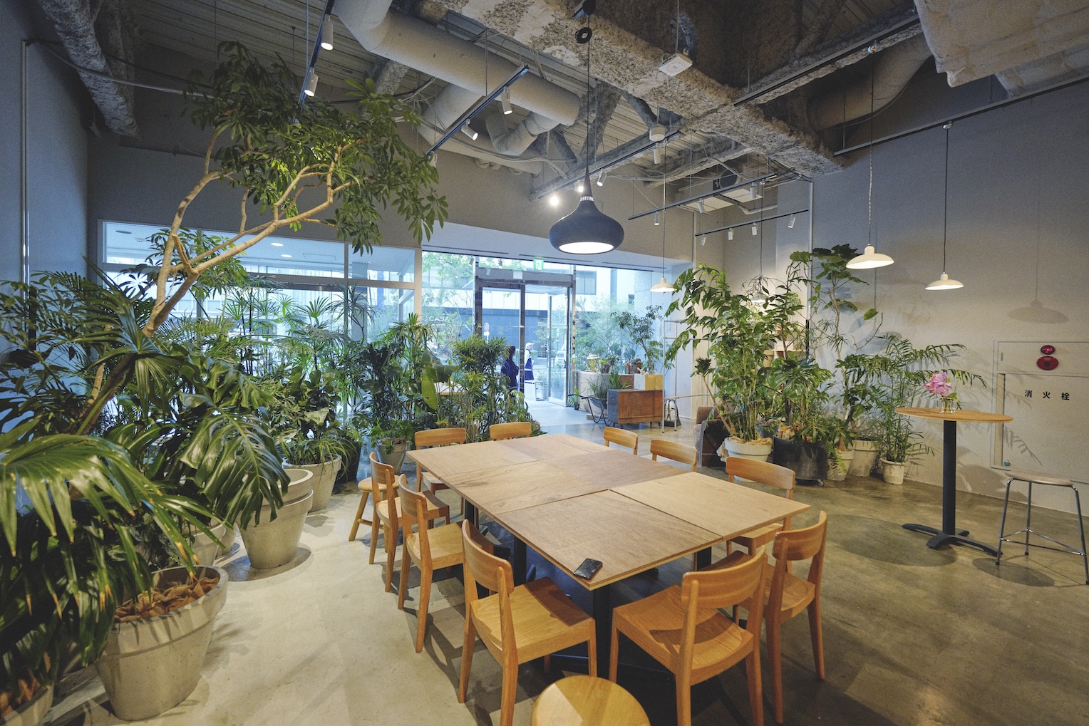 240703_keshiki_012