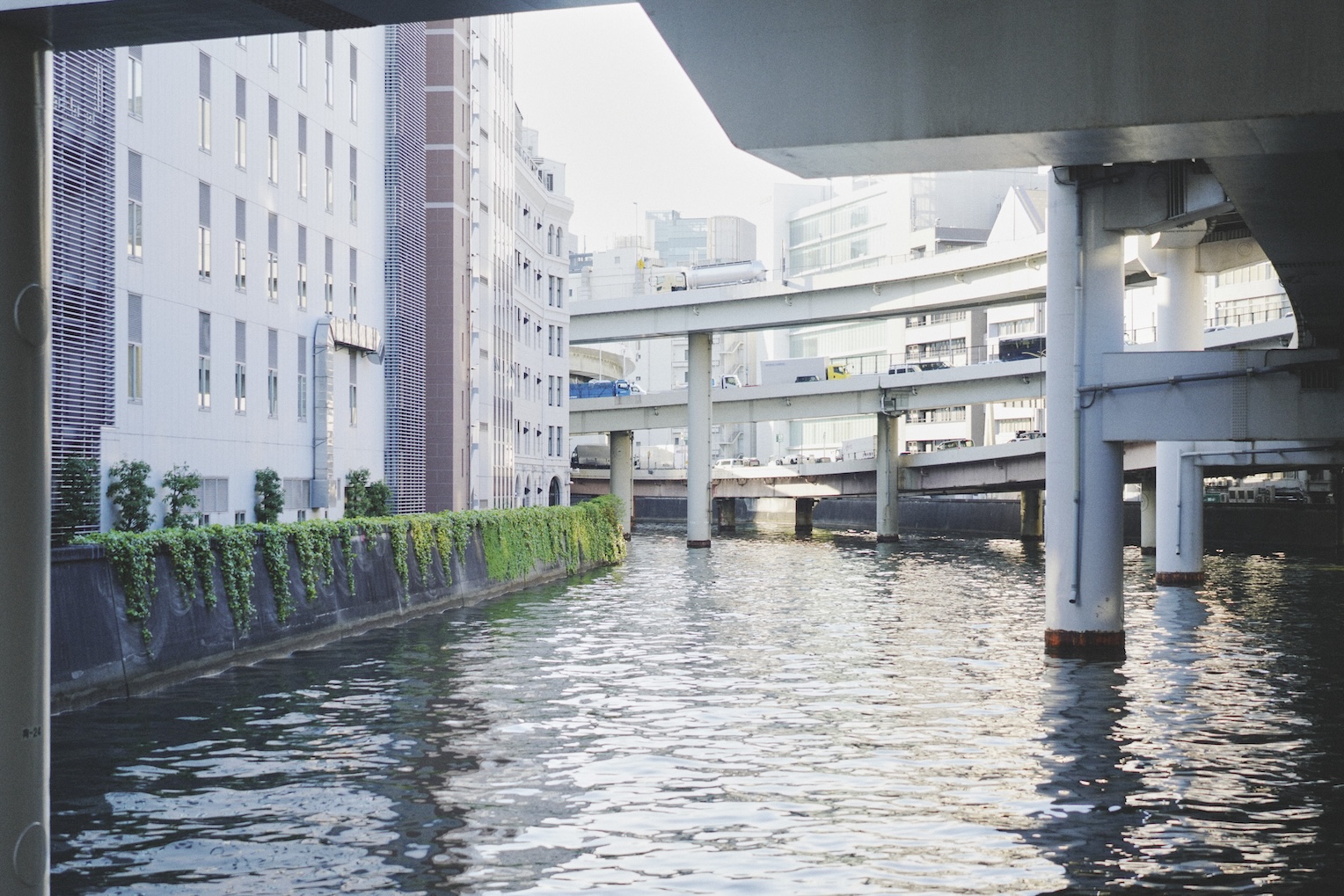 240703_keshiki_014