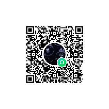 bridgine-lineQR